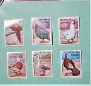 Nicaragua - 1465-70, MNH Set. Birds. SCV - $5.70