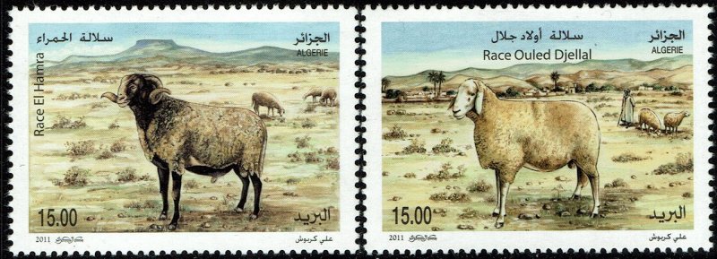 Algeria #1538-39  MNH - Sheep Breeds (2011)