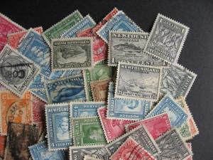 NEWFOUNDLAND 100 wee older mixture (duplicates,mixed condition)