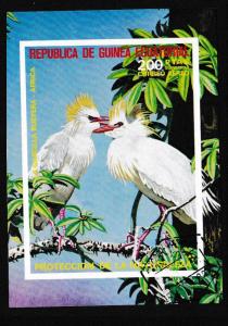 Eq. Guinea Cattle Egret MS CTO