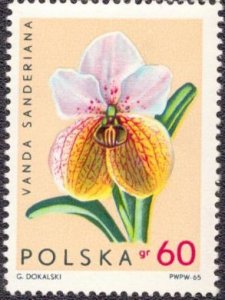Poland 1350 1965 MNH