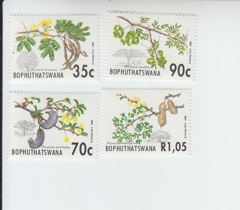 1992 Bophuthatswana Acacia Trees (4) (Scott 278-81) MNH