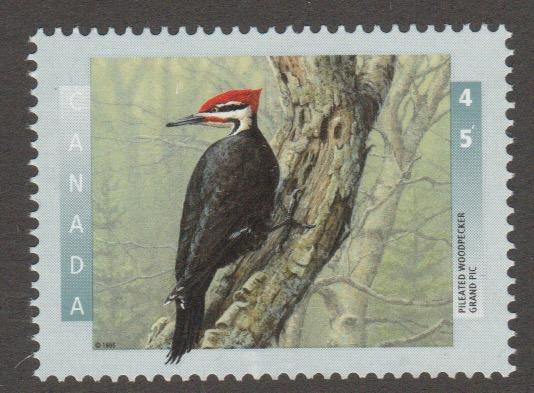 Woodpecker #1593