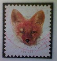 United States, Scott #5742, used(o), 2023, Red Fox, 40¢, multicolored