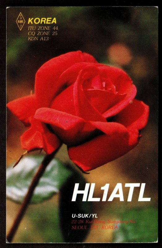 QSL Radio Card HL1ATL,Photo of Rose,U-Suk/YL, Korea (Q3190)