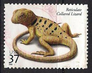 US ~ Scott # 3816 ~ Used ~ Reticulate Collared Lizard