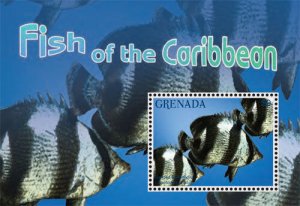 Grenada 2014 - Fish of the Caribbean - Souvenir Stamp Sheet - Scott #3981 - MNH