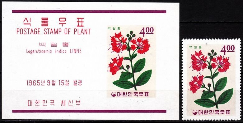KOREA SOUTH 1965 FLORA Plants (IX): Indian Myrtle Flower, MNH