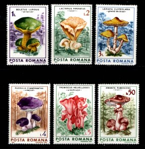 ROMANIA - 1986 MUSHROOMS & FUNGI - 6V - MINT NH