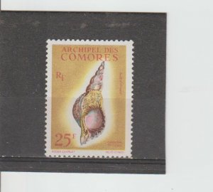 Comoro Islands  Scott#  53  MNH  (1962 Sea Shells)