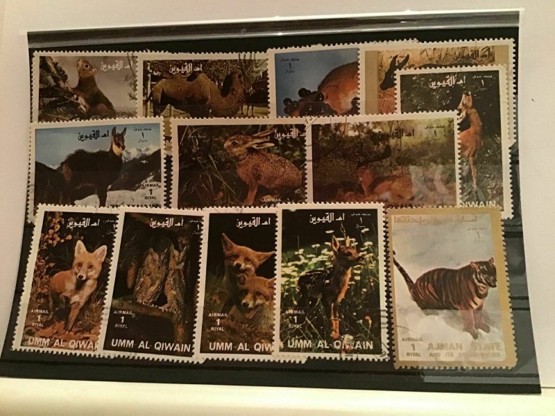 Wild animal  stamps R21594