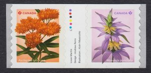 db GUTTER pair, Coil = BUTTERFLY MILKWEED, BEEBALM wildflowers MNH Canada 2024