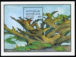 Barbuda #754 Cat$26, 1985 Marine Life souvenir sheet, never hinged