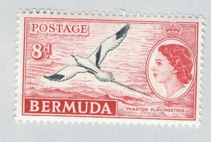 Bermuda 153 Unused Tropic Bird 2 1953 (BP64219)