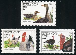 Russia Scott 5909-11 MF-VFNHOG - 1990 Poultry Complete Set - SCV $1.45