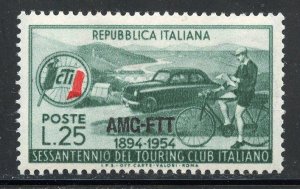 Trieste # 206, Mint Hinge