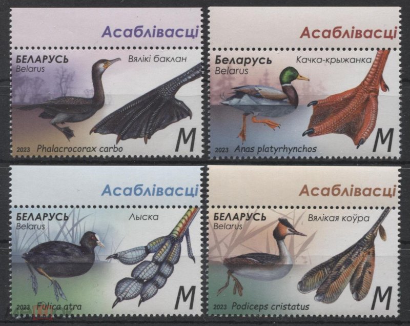 Stamps of Belarus (pre-order) 2023 - Fauna. Birds. Ducks. Features of waterfowl