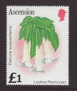 1981 Ascension Is £1 Ladies Petticoat U/Mint SG295a