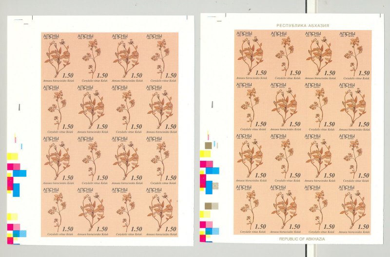 Abkhazia (Georgia) 1998 Medicinal Plants 1v M/S of 16 x 5v Progressive Proofs