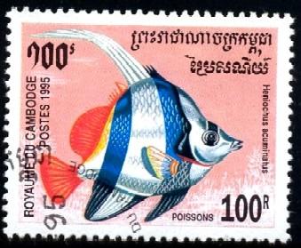 Tropical Fish, Pennat Coralfish, Cambodia stamp SC#1466 Used