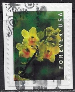 US ~ Scott # 5453 ~ Used on paper ~ Wild Orchids