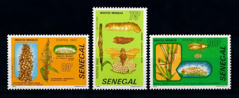 [70590] Senegal 1982 Pest Insects  MNH