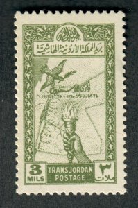 Jordan #223 Mint Hinged single