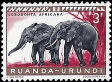 RUANDA-URUNDI   #144 MH (1)