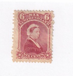 NEWFOUNDLAND # 33 -MH 6cts Q/VICTORIA WIDOW CAT VALUE $600 KIMSS30