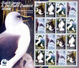 South Georgia. Fauna. 2003 Albatrosses.