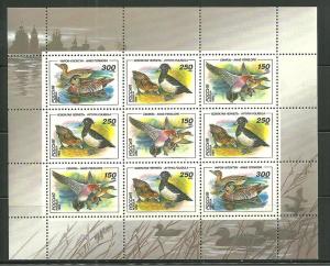 Russia 6222a MNH Sheet Ducks