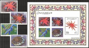 Somalia 2001 Marine Life Sea Stars set of 4 +S/S MNH **