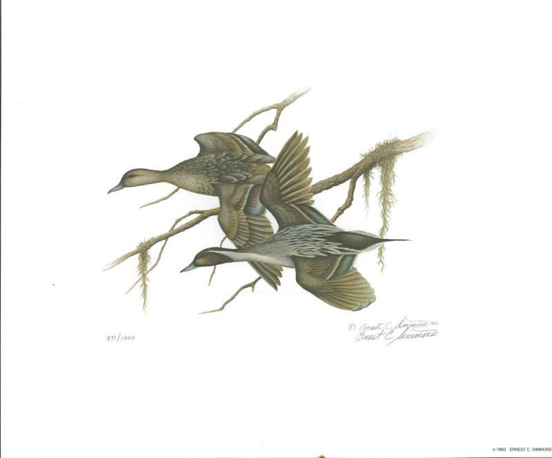 FLORIDA #2 1980 STATE DUCK STAMP PRINT PINTAILS  by Ernest Simmons