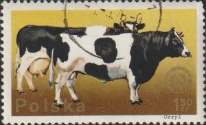 Poland #2099 1975 1.50zl Cattle - Bull & Cow UNUSED-XF-OG-NH.