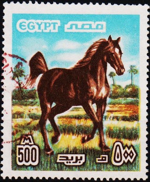 Egypt. 1978 500m S.G.1350 Fine Used