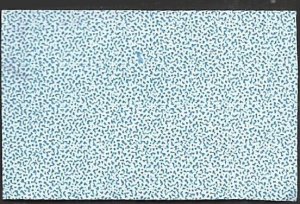 # 5434 Used Let's Celebrate