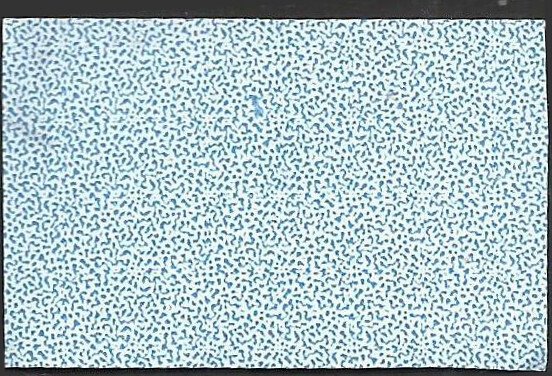 # 5434 Used Let's Celebrate