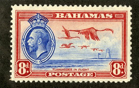 BAHAMAS 96 MH SCV $7.25 BIN $3.00 BIRDS