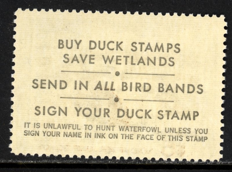 SCOTT RW40 1973 $5 STELLER'S ELDER DUCK STAMP ISSUE MNH OG VF CAT $18!