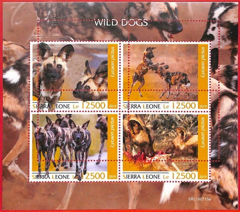 A4533 - SIERRA LEONE - ERROR MISPERF, Miniature sheet: 2019, African Wild Dogs