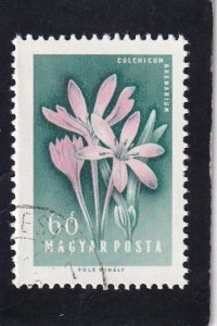 Hungary,       #    1198     used