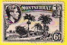 MONTSERRAT SCOTT#98 1938 6d BOTANIC GARDEN - USED