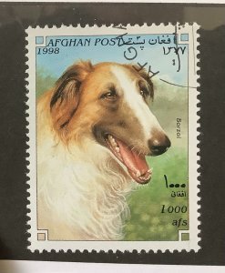 Afghanistan 1998  Mi 1757 CTO -  1000afs, Dogs, Afghan Barzoi