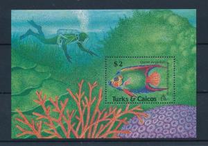 [46785] Turks and Caicos Islands 1990 Marine life Fish MNH Sheet