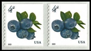 U.S.#5653 Blueberries 4c Coil Pair, MNH.