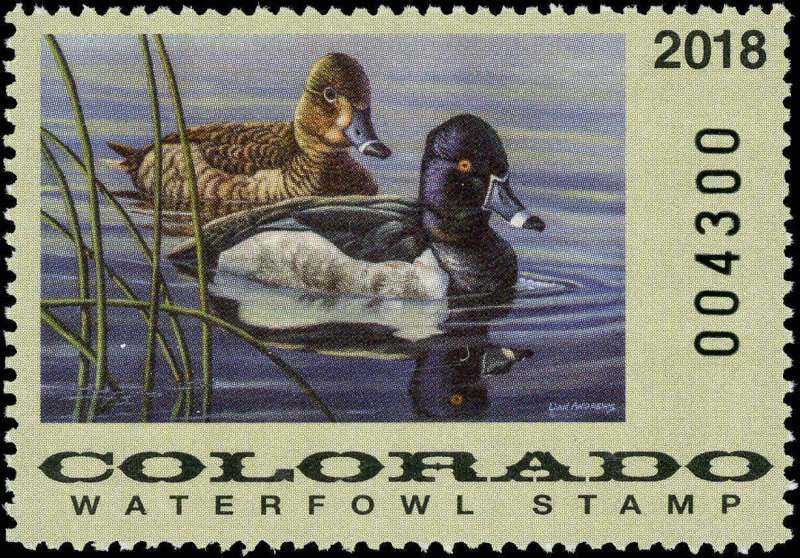 COLORADO #29 2018 STATE DUCK STAMP RING NECKED DUCKS by Dan Andrews 