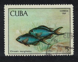 Caribic Blue chromis Fish Pisciculture 5c 1969 Canc SG#1658