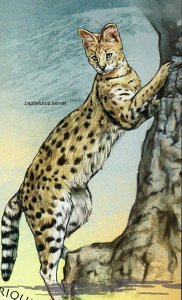 Serval Stamp Wild Animal Leptailurus Serval S/S MNH #4860 / Bl.790