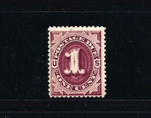 J22, POSTAGE DUE, nice color, nice gum,  MINT NH