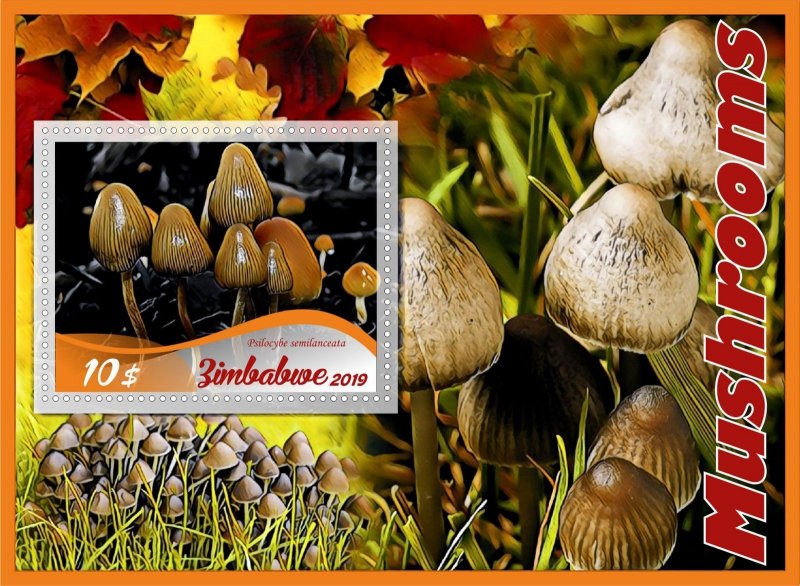 Mushrooms 8 sheets perforated  NEW